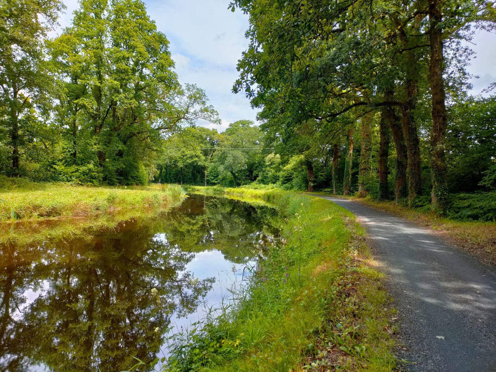 Vu du canal de Nantes à Brest