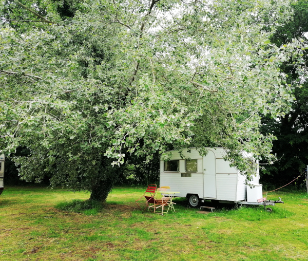 Blanche sous un arbre