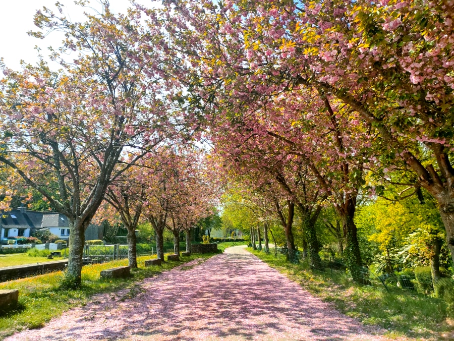 Bienvenue au camping de gouarec